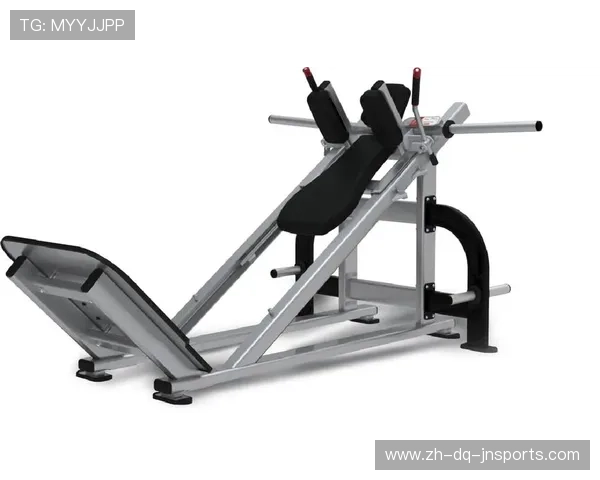 诺德士健身器材性能分析及用户口碑调查 诺德士健身器材性能分析及用户口碑调查