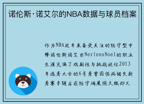 诺伦斯·诺艾尔的NBA数据与球员档案